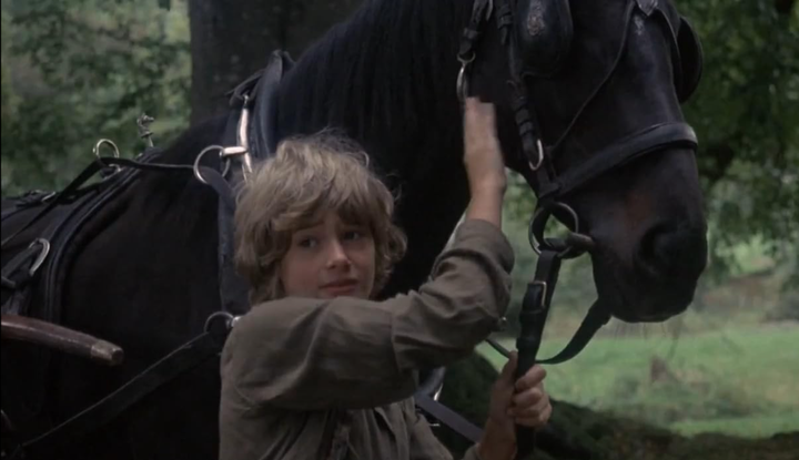 Movie Review: Black Beauty (1971)